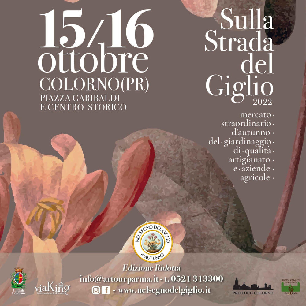 15 e 16 Ottobre - “Sulla Strada del Giglio” - Piazza Garibaldi e Centro Storico - Colorno (PR)