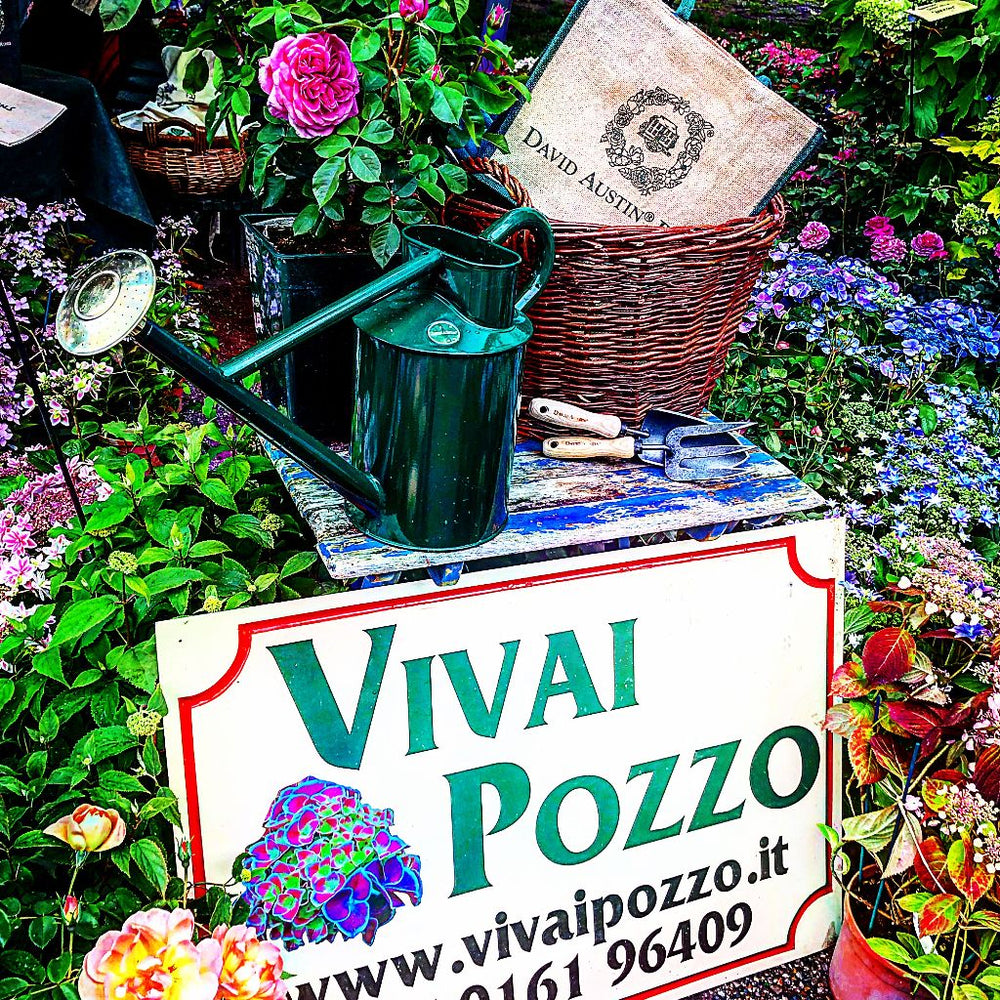 Eventi, manifestazioni e mostre - Autunno 2025